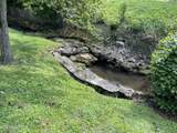  Lovely Bluff Rd - Photo 8