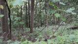  Gulf Rd - Photo 10