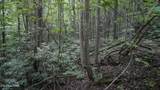  Gulf Rd - Photo 15