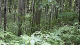  Gulf Rd - Photo 28