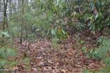  Gulf Rd - Photo 47