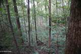  Bull Mountain Rd - Photo 19