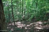  Bull Mountain Rd - Photo 9