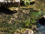0 Shawanee Rd - Photo 8