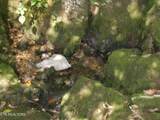 0 Shawanee Rd - Photo 9