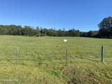 Lot 44 Paint Rock Valley Rd - Photo 29