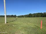 Lot 45 Paint Rock Valley Rd - Photo 22