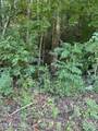 115 Hughes Hollow Rd - Photo 15
