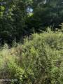 115 Hughes Hollow Rd - Photo 3