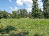 Tract 2 Hutton Ridge Rd - Photo 13