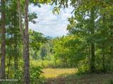  Tract 2 Hutton Ridge Rd - Photo 20