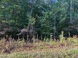  Panther Branch Road - Photo 2