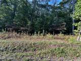  Panther Branch Road - Photo 3