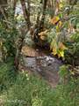 606 Marble Hill Rd - Photo 4