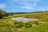 0 Pig Trot Rd - Photo 8