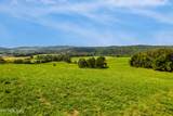  Lot 2 Pig Trot Rd - Photo 4