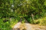  Lot 3 Pig Trot Rd - Photo 6