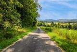  Lot 7 Pig Trot Rd - Photo 11