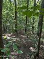  Laurel Mountain Circle - Photo 3