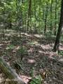  Laurel Mountain Circle - Photo 4