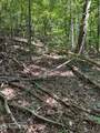  Laurel Mountain Circle - Photo 9
