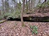  Wolf Creek Rd - Photo 18