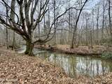  Wolf Creek Rd - Photo 19