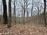  Wolf Creek Rd - Photo 23