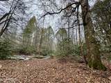  Wolf Creek Rd - Photo 24