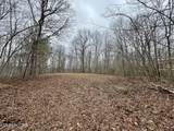  Wolf Creek Rd - Photo 4