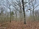  Wolf Creek Rd - Photo 41