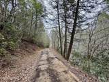  Wolf Creek Rd - Photo 42
