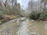  Wolf Creek Rd - Photo 43