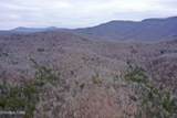  Wolf Creek Rd - Photo 5