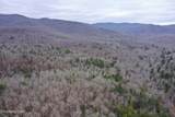  Wolf Creek Rd - Photo 6