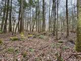  Wolf Creek Rd - Photo 25