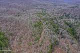  Wolf Creek Rd - Photo 42