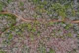  Wolf Creek Rd - Photo 43