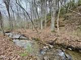  Wolf Creek Rd - Photo 45