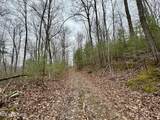  Wolf Creek Rd - Photo 46