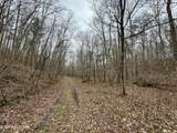  Wolf Creek Rd - Photo 47