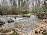  Wolf Creek Rd - Photo 48