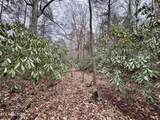  Wolf Creek Rd - Photo 49