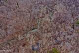  Wolf Creek Rd - Photo 5