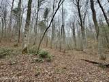  Wolf Creek Rd - Photo 10
