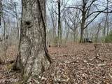  Wolf Creek Rd - Photo 4