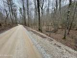  Wolf Creek Rd - Photo 7