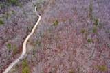  Wolf Creek Rd - Photo 8