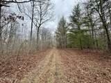 Wolf Creek Rd - Photo 9