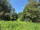  Old Wolf River Rd - Photo 4